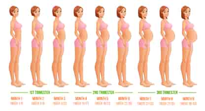 Pregnancy week by week. 3 Trimesters. 9 Months, 40 Weeks.