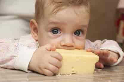 When can baby eat cheese
